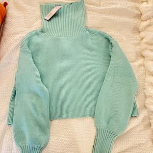 Wild fable turtleneck
